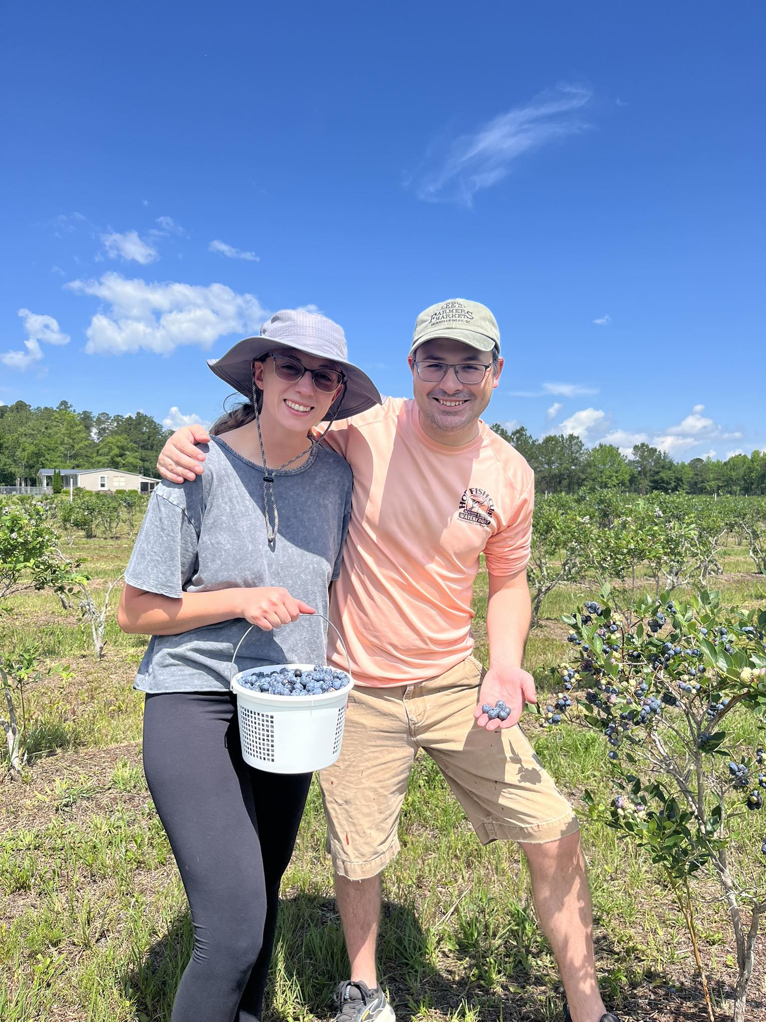 Couple with Bucket picking Blueberries