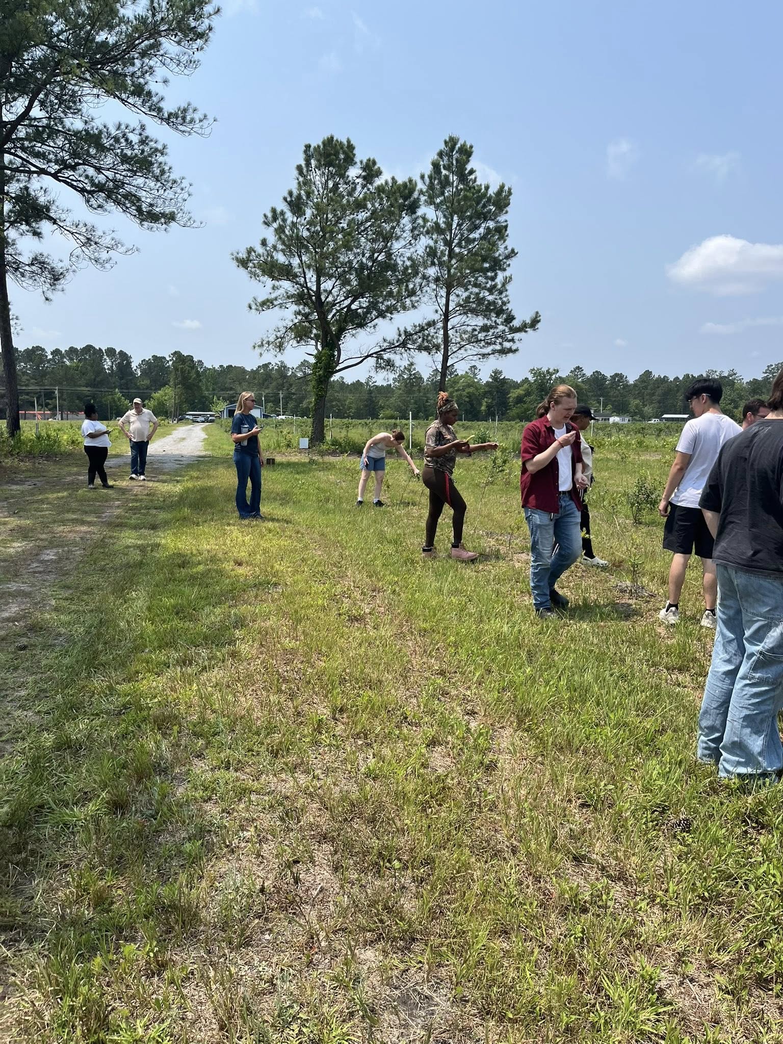 Families enjoying blueberry picking