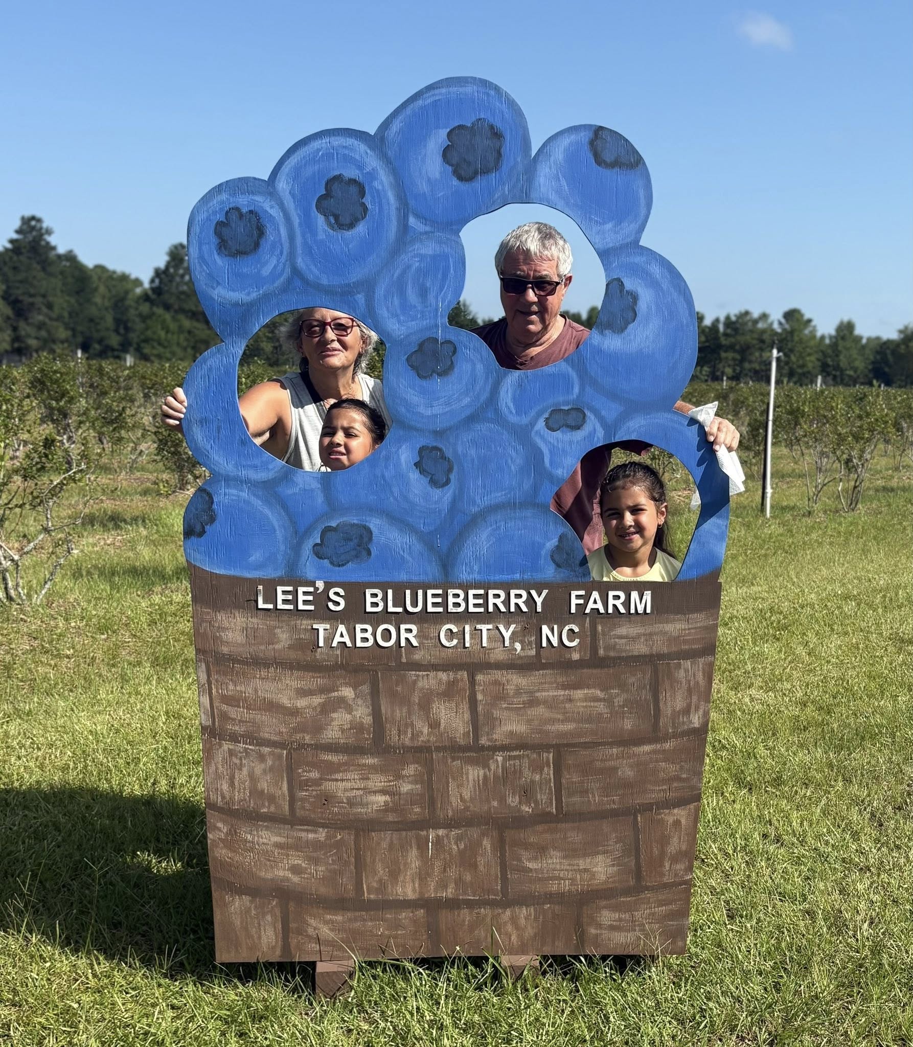 Summer day at Lee's Blueberry Farm