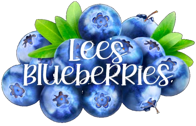 Lee's Blueberry Farm