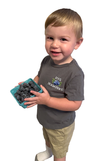 Young boy holding a box of bluberries.