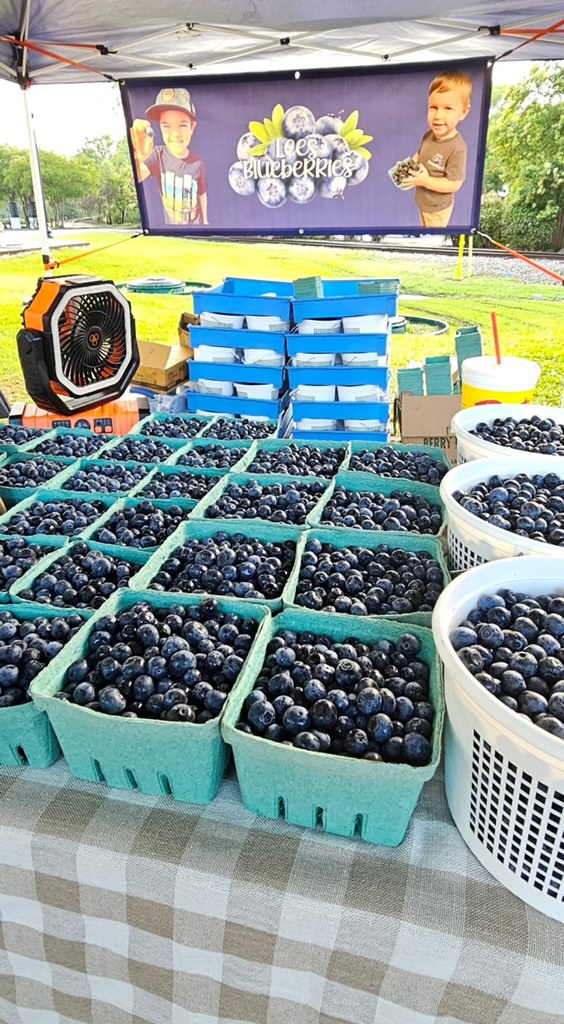 Blueberries and Treats for Sale